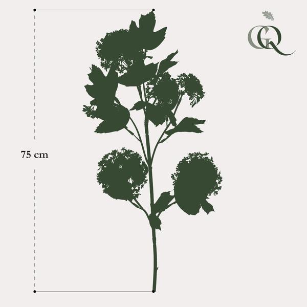 [Brand/Company Name] [Plant/Flower Type] and [Plant/Flower Type] set in [Material/Color] pot on [Material/Color] tray.
