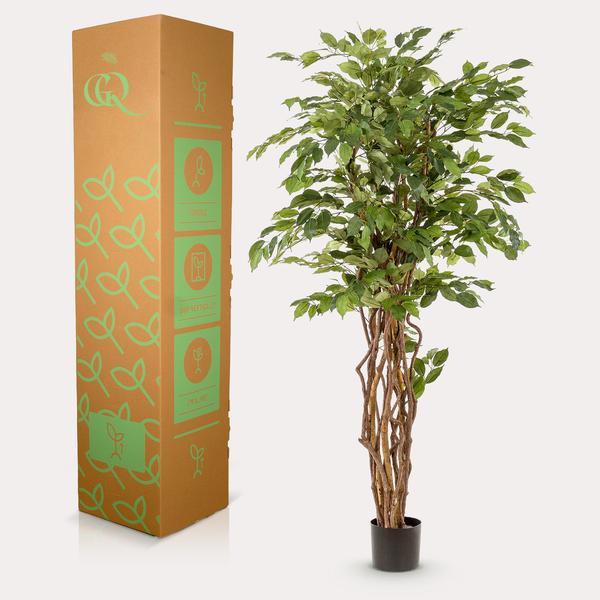 [Brand/Company Name] [Plant/Flower Type] and [Plant/Flower Type] set in [Material/Color] pot on [Material/Color] tray.