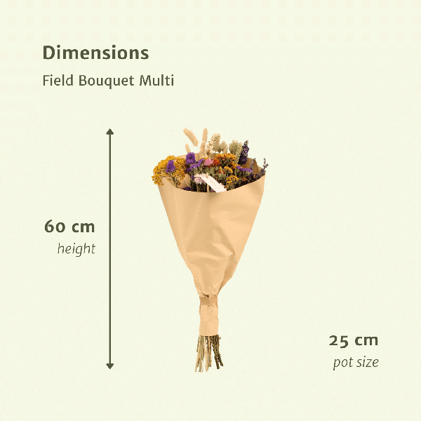 [Brand/Company Name] [Plant/Flower Type] and [Plant/Flower Type] set in [Material/Color] pot on [Material/Color] tray.