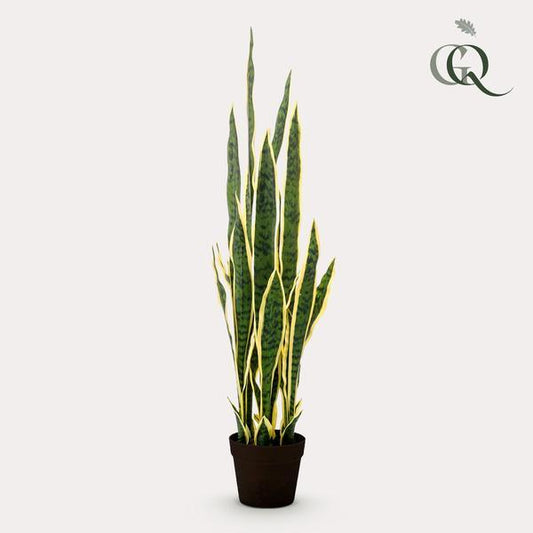 [Brand/Company Name] [Plant/Flower Type] and [Plant/Flower Type] set in [Material/Color] pot on [Material/Color] tray.