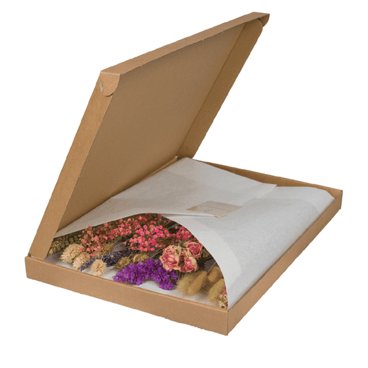 [Brand/Company Name] [Plant/Flower Type] and [Plant/Flower Type] set in [Material/Color] pot on [Material/Color] tray.