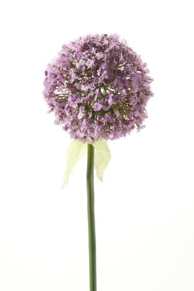 [Brand/Company Name] [Plant/Flower Type] and [Plant/Flower Type] set in [Material/Color] pot on [Material/Color] tray.