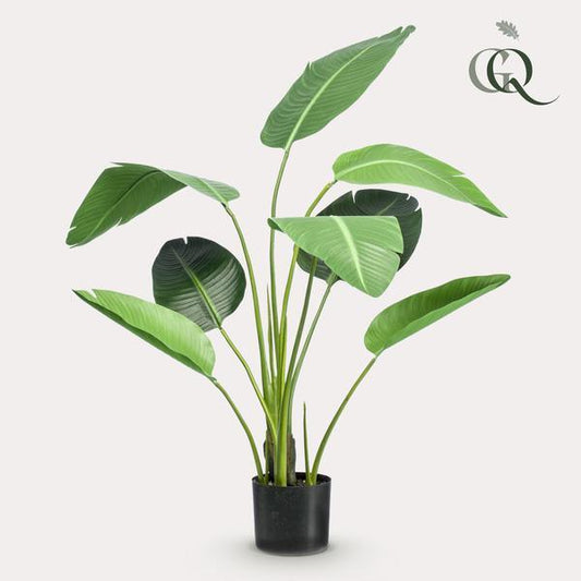 [Brand/Company Name] [Plant/Flower Type] and [Plant/Flower Type] set in [Material/Color] pot on [Material/Color] tray.