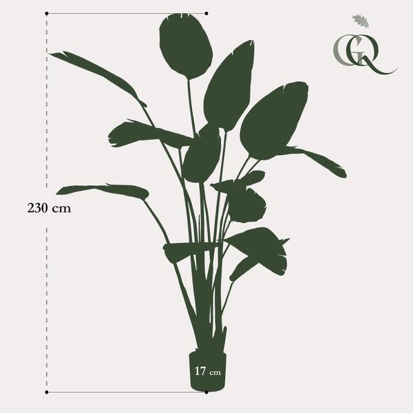 [Brand/Company Name] [Plant/Flower Type] and [Plant/Flower Type] set in [Material/Color] pot on [Material/Color] tray.
