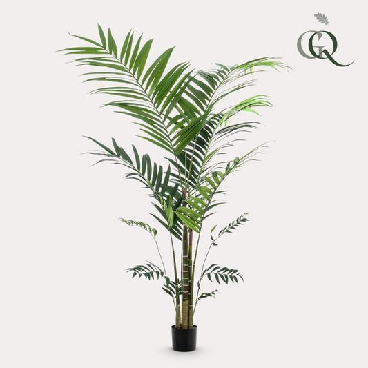 [Brand/Company Name] [Plant/Flower Type] and [Plant/Flower Type] set in [Material/Color] pot on [Material/Color] tray.
