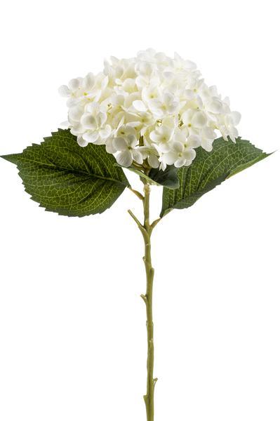 [Brand/Company Name] [Plant/Flower Type] and [Plant/Flower Type] set in [Material/Color] pot on [Material/Color] tray.