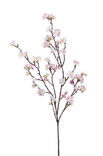 [Brand/Company Name] [Plant/Flower Type] and [Plant/Flower Type] set in [Material/Color] pot on [Material/Color] tray.