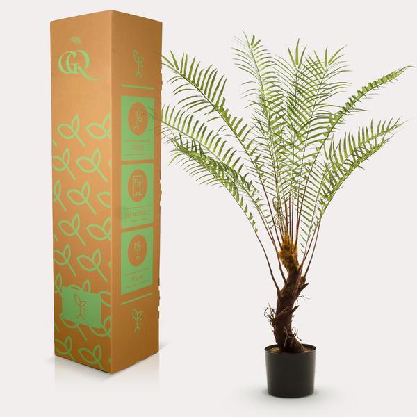 [Brand/Company Name] [Plant/Flower Type] and [Plant/Flower Type] set in [Material/Color] pot on [Material/Color] tray.