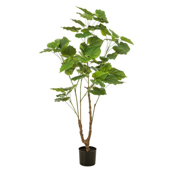 [Brand/Company Name] [Plant/Flower Type] and [Plant/Flower Type] set in [Material/Color] pot on [Material/Color] tray.