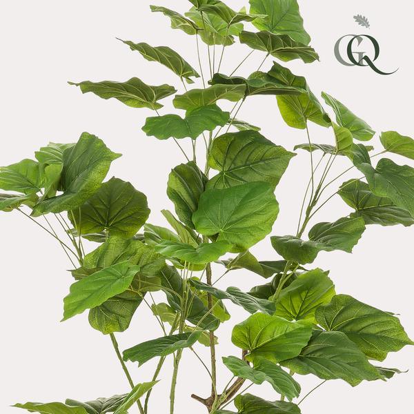 [Brand/Company Name] [Plant/Flower Type] and [Plant/Flower Type] set in [Material/Color] pot on [Material/Color] tray.