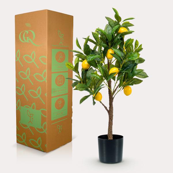 [Brand/Company Name] [Plant/Flower Type] and [Plant/Flower Type] set in [Material/Color] pot on [Material/Color] tray.