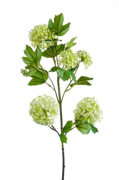 [Brand/Company Name] [Plant/Flower Type] and [Plant/Flower Type] set in [Material/Color] pot on [Material/Color] tray.