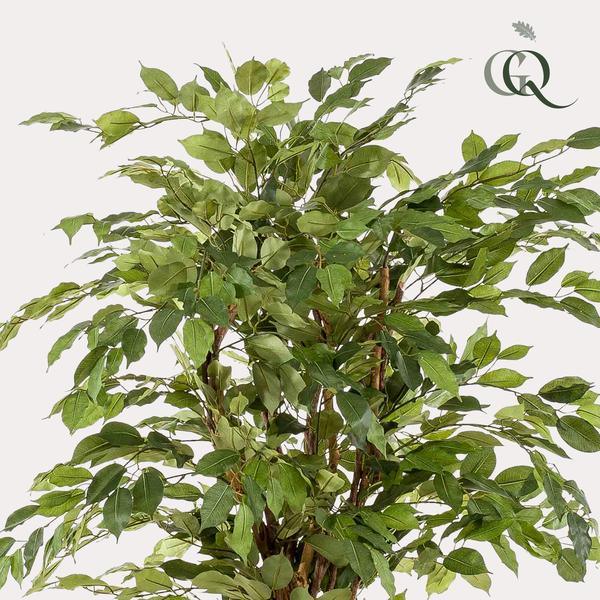 [Brand/Company Name] [Plant/Flower Type] and [Plant/Flower Type] set in [Material/Color] pot on [Material/Color] tray.