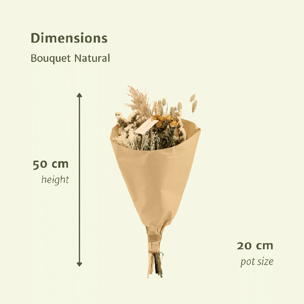 [Brand/Company Name] [Plant/Flower Type] and [Plant/Flower Type] set in [Material/Color] pot on [Material/Color] tray.