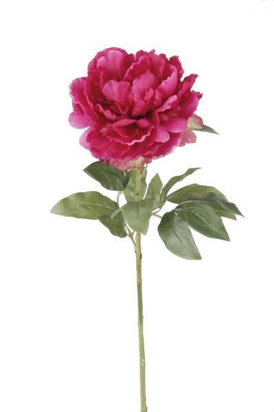[Brand/Company Name] [Plant/Flower Type] and [Plant/Flower Type] set in [Material/Color] pot on [Material/Color] tray.
