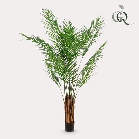 [Brand/Company Name] [Plant/Flower Type] and [Plant/Flower Type] set in [Material/Color] pot on [Material/Color] tray.