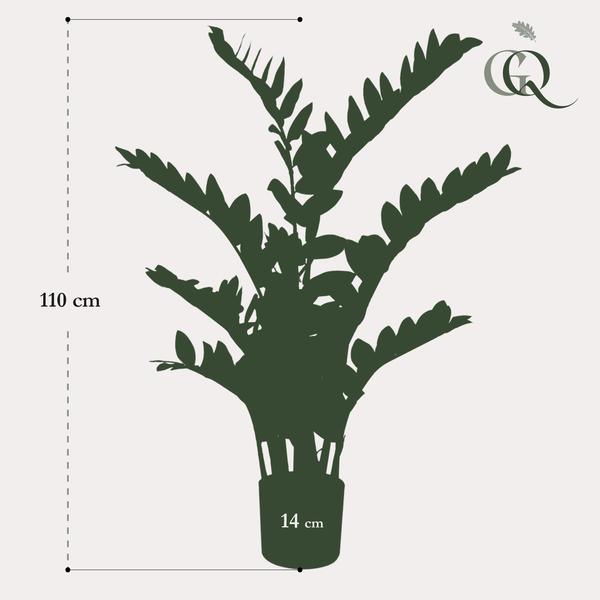 [Brand/Company Name] [Plant/Flower Type] and [Plant/Flower Type] set in [Material/Color] pot on [Material/Color] tray.