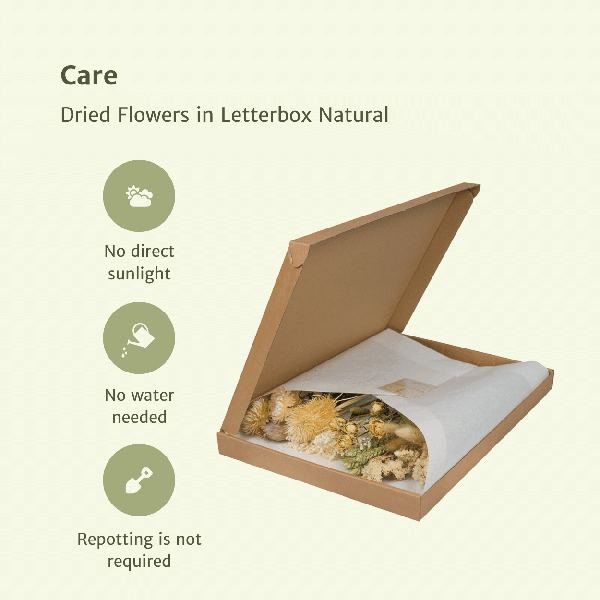 [Brand/Company Name] [Plant/Flower Type] and [Plant/Flower Type] set in [Material/Color] pot on [Material/Color] tray.