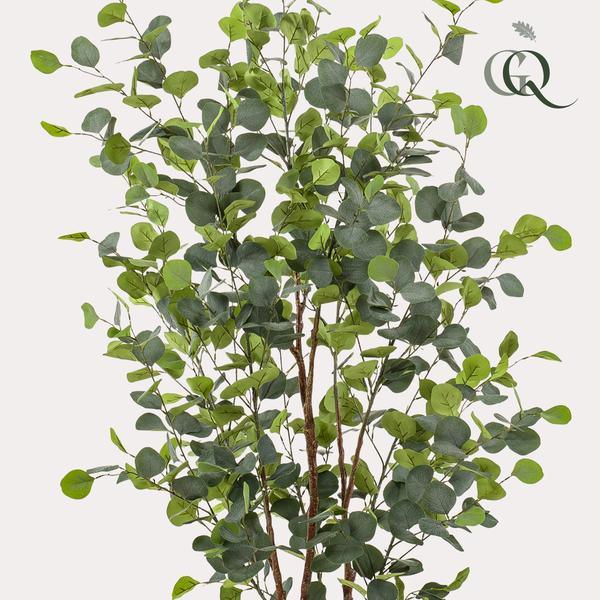 [Brand/Company Name] [Plant/Flower Type] and [Plant/Flower Type] set in [Material/Color] pot on [Material/Color] tray.