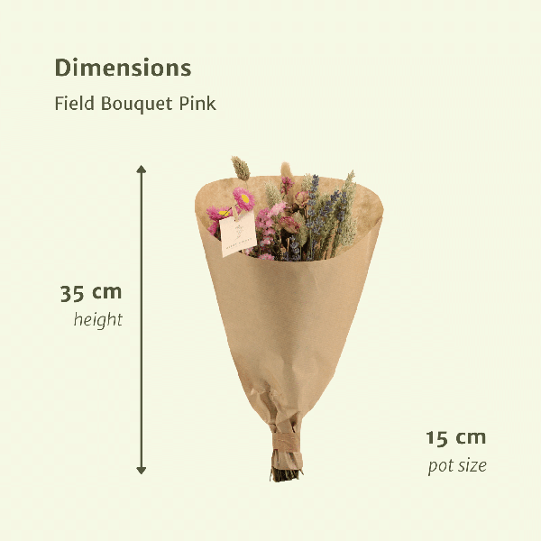 [Brand/Company Name] [Plant/Flower Type] and [Plant/Flower Type] set in [Material/Color] pot on [Material/Color] tray.