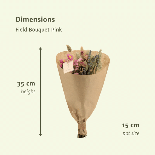 [Brand/Company Name] [Plant/Flower Type] and [Plant/Flower Type] set in [Material/Color] pot on [Material/Color] tray.