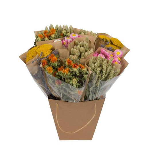 [Brand/Company Name] [Plant/Flower Type] and [Plant/Flower Type] set in [Material/Color] pot on [Material/Color] tray.