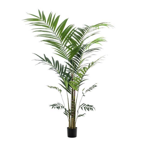 [Brand/Company Name] [Plant/Flower Type] and [Plant/Flower Type] set in [Material/Color] pot on [Material/Color] tray.