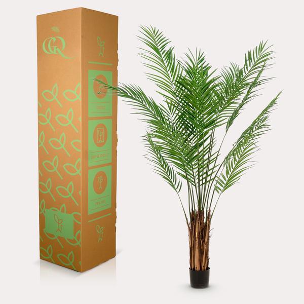 [Brand/Company Name] [Plant/Flower Type] and [Plant/Flower Type] set in [Material/Color] pot on [Material/Color] tray.