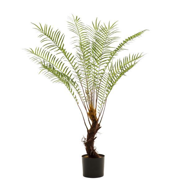 [Brand/Company Name] [Plant/Flower Type] and [Plant/Flower Type] set in [Material/Color] pot on [Material/Color] tray.