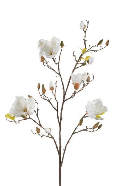 [Brand/Company Name] [Plant/Flower Type] and [Plant/Flower Type] set in [Material/Color] pot on [Material/Color] tray.