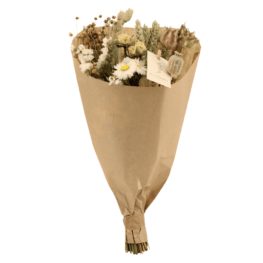 [Brand/Company Name] [Plant/Flower Type] and [Plant/Flower Type] set in [Material/Color] pot on [Material/Color] tray.