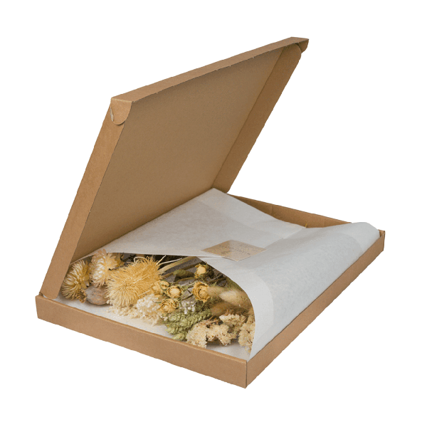 [Brand/Company Name] [Plant/Flower Type] and [Plant/Flower Type] set in [Material/Color] pot on [Material/Color] tray.