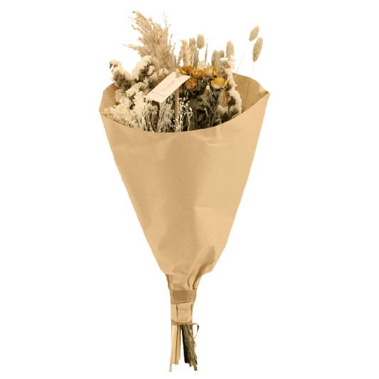 [Brand/Company Name] [Plant/Flower Type] and [Plant/Flower Type] set in [Material/Color] pot on [Material/Color] tray.