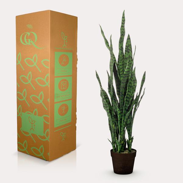 [Brand/Company Name] [Plant/Flower Type] and [Plant/Flower Type] set in [Material/Color] pot on [Material/Color] tray.