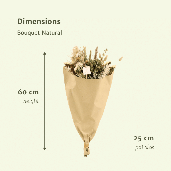 [Brand/Company Name] [Plant/Flower Type] and [Plant/Flower Type] set in [Material/Color] pot on [Material/Color] tray.
