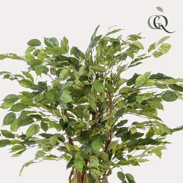 [Brand/Company Name] [Plant/Flower Type] and [Plant/Flower Type] set in [Material/Color] pot on [Material/Color] tray.
