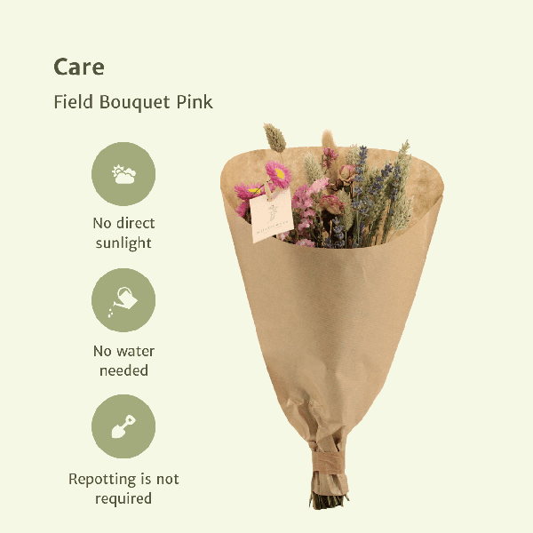 [Brand/Company Name] [Plant/Flower Type] and [Plant/Flower Type] set in [Material/Color] pot on [Material/Color] tray.
