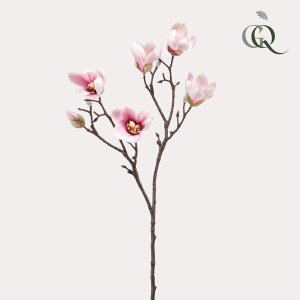 [Brand/Company Name] [Plant/Flower Type] and [Plant/Flower Type] set in [Material/Color] pot on [Material/Color] tray.