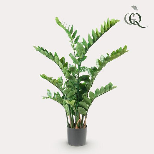 [Brand/Company Name] [Plant/Flower Type] and [Plant/Flower Type] set in [Material/Color] pot on [Material/Color] tray.