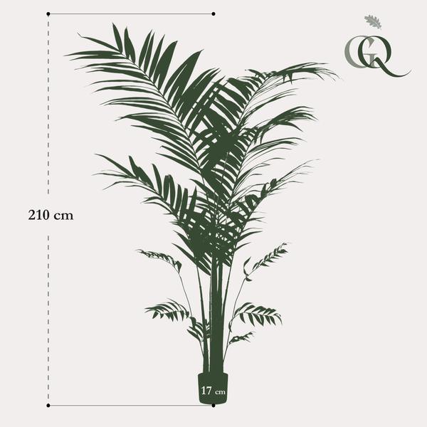 [Brand/Company Name] [Plant/Flower Type] and [Plant/Flower Type] set in [Material/Color] pot on [Material/Color] tray.