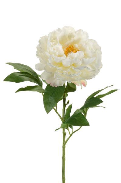 [Brand/Company Name] [Plant/Flower Type] and [Plant/Flower Type] set in [Material/Color] pot on [Material/Color] tray.