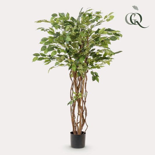 [Brand/Company Name] [Plant/Flower Type] and [Plant/Flower Type] set in [Material/Color] pot on [Material/Color] tray.
