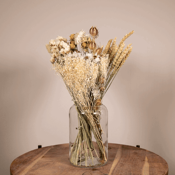 [Brand/Company Name] [Plant/Flower Type] and [Plant/Flower Type] set in [Material/Color] pot on [Material/Color] tray.