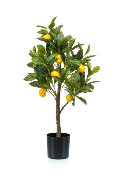 [Brand/Company Name] [Plant/Flower Type] and [Plant/Flower Type] set in [Material/Color] pot on [Material/Color] tray.
