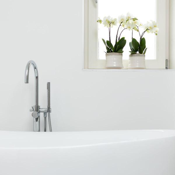 [Brand/Company Name] [Plant/Flower Type] and [Plant/Flower Type] set in [Material/Color] pot on [Material/Color] tray.