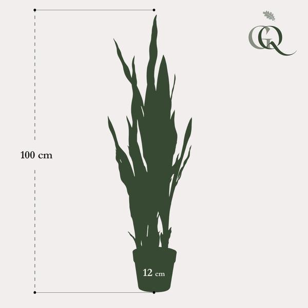[Brand/Company Name] [Plant/Flower Type] and [Plant/Flower Type] set in [Material/Color] pot on [Material/Color] tray.
