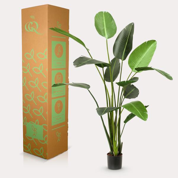 [Brand/Company Name] [Plant/Flower Type] and [Plant/Flower Type] set in [Material/Color] pot on [Material/Color] tray.