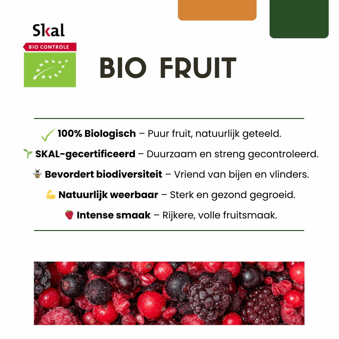 6 x Biologische bramenplanten - Ø 13 cm - ↨ 20 cm
