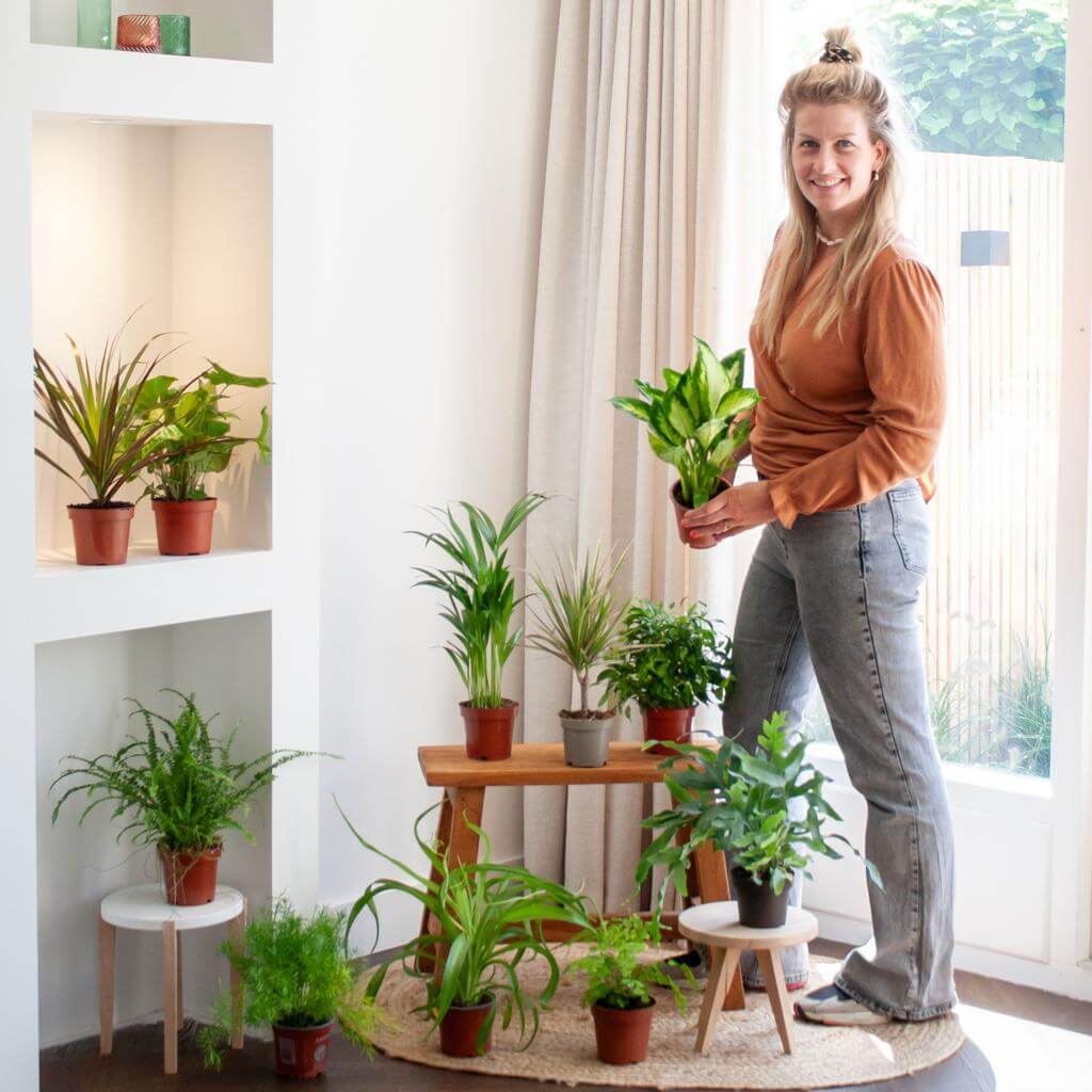 Vrouw met groene plant in hand, omringd door kamerplanten en terrariums in verschillende potten. Green Misfitbox (12 pieces).