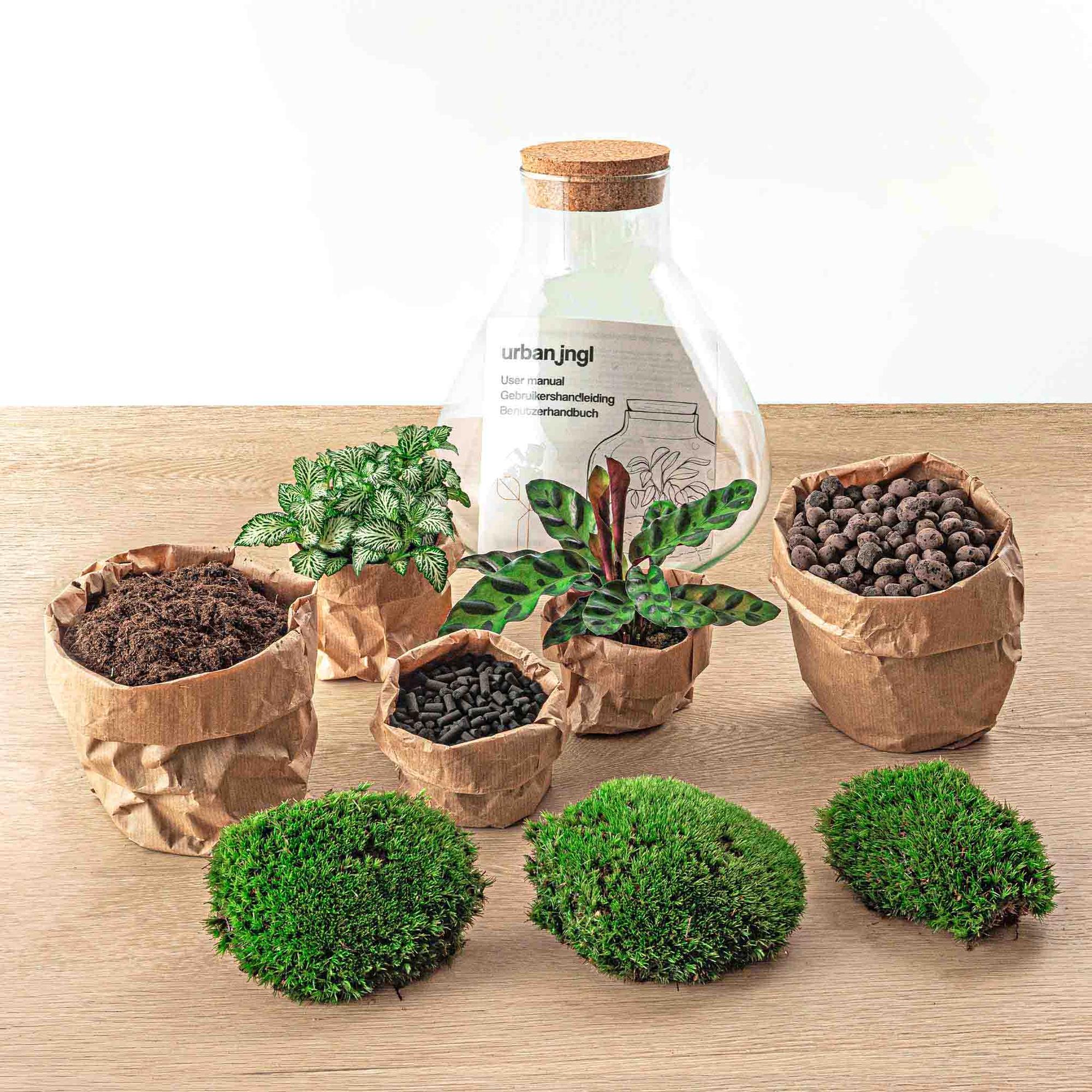 DIY terrarium – Sammie – ↕ 27 cm with soil, pebbles, and green plants in brown paper pots on a wooden surface.